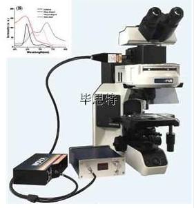 顯微分光光度計顯微光譜系統顯微分光光度計顯微紅外光譜儀、